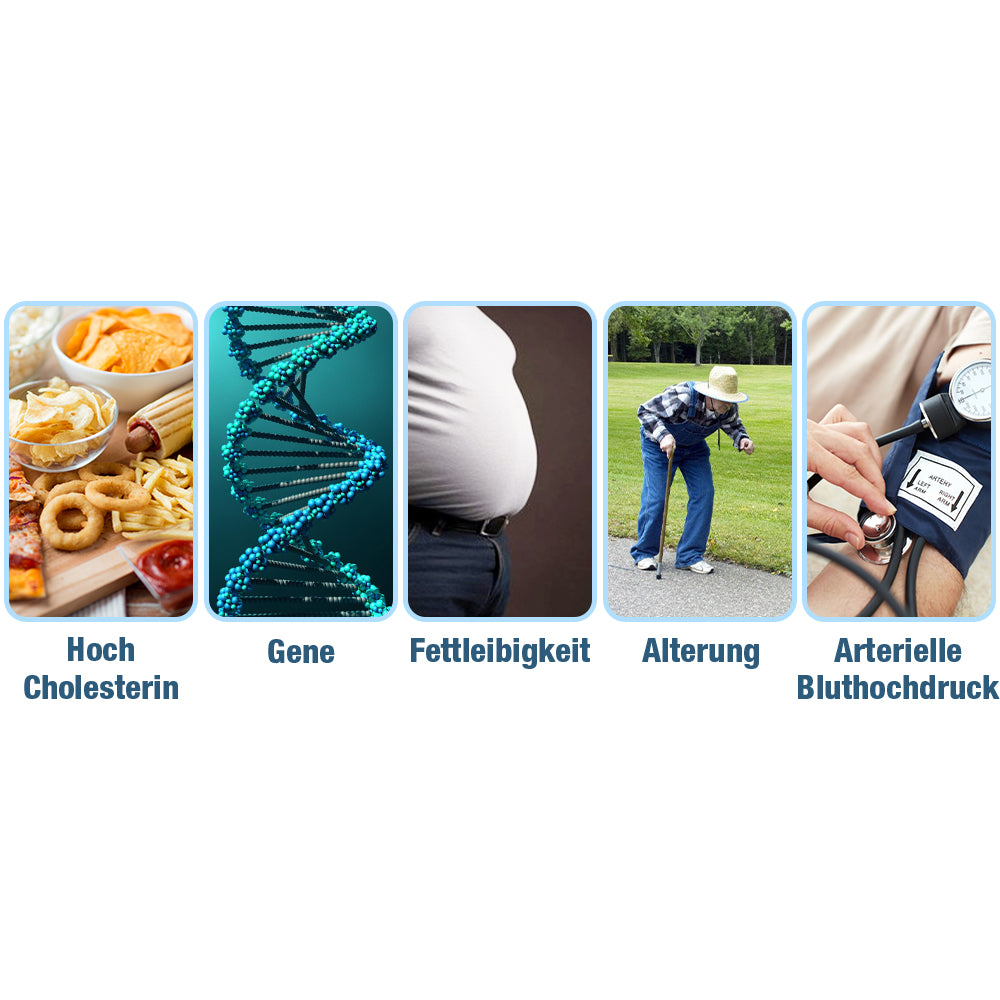 GFOUK™ GlycoWave Elektrisches Impulsgerät