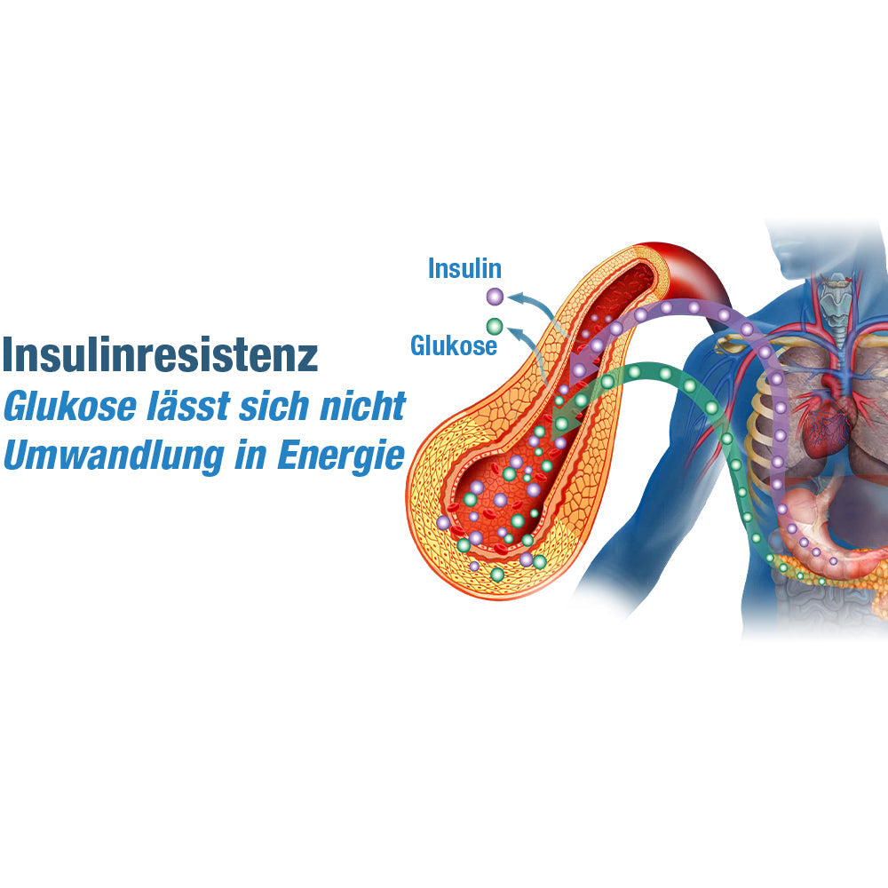 GFOUK™ GlycoWave Elektrisches Impulsgerät