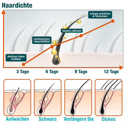 GFOUK™ ZenithGrowth Marokkanisches Haaröl