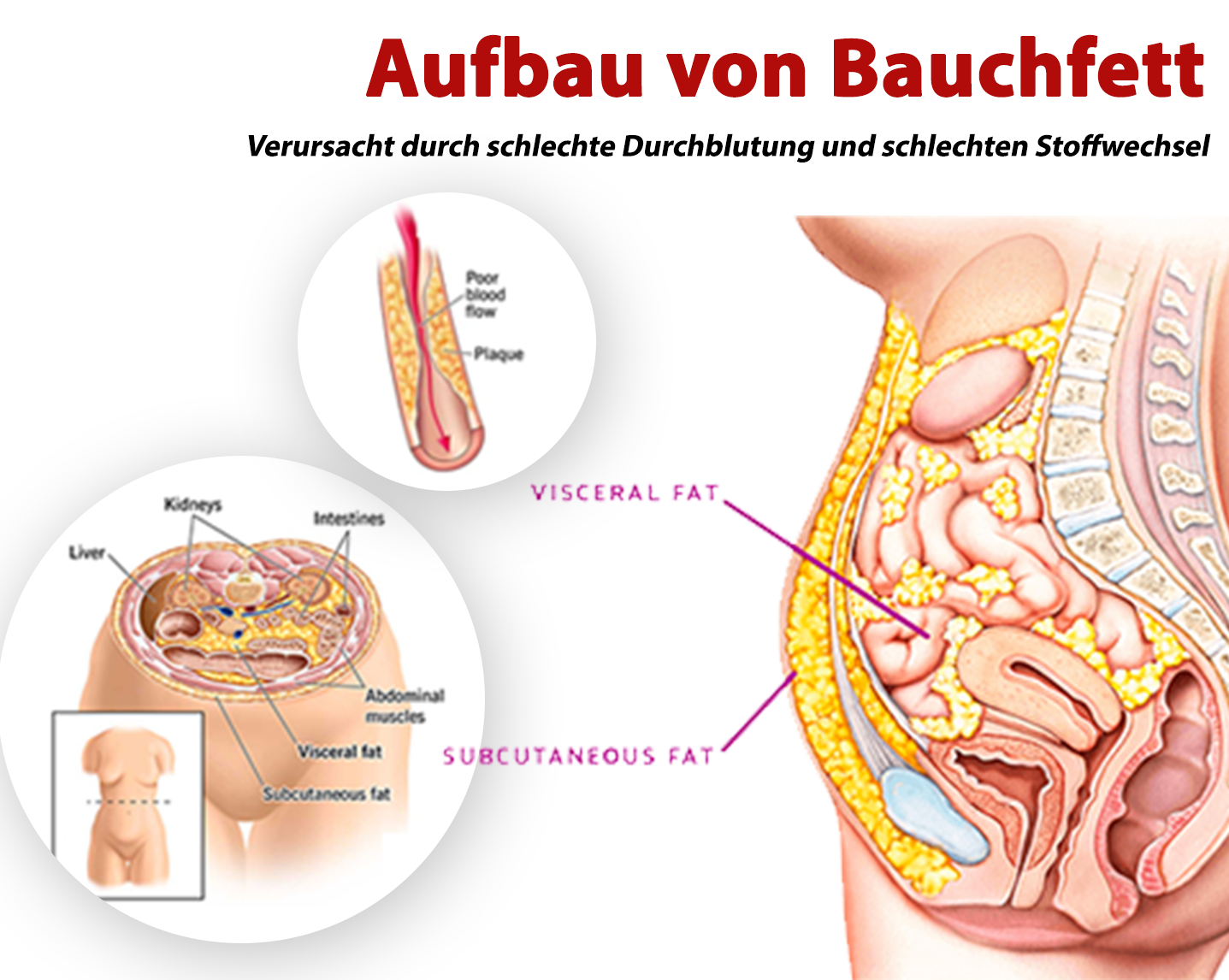 GFOUK™ IONSculpt Turmalin-Faser-Slips