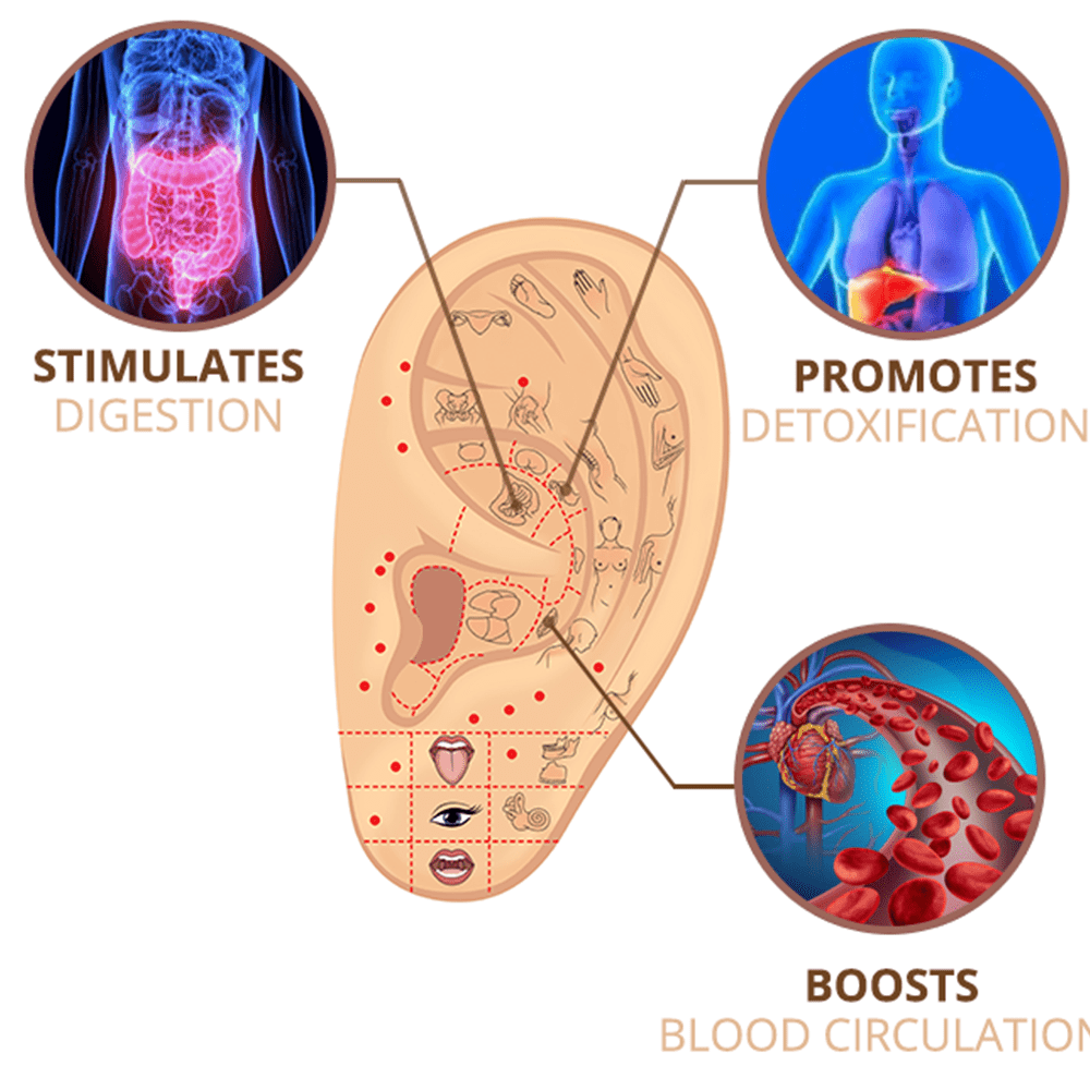 flysmus™ MagneTherapy Germanium Detox Ohrringe