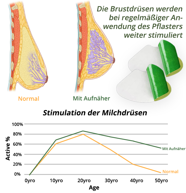 flysmus™ CurvaLux Enhancement Kräuterpflaster